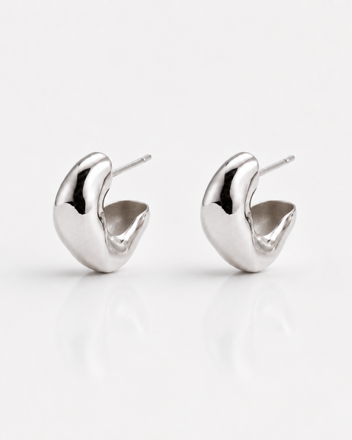 Pair of silver earrings on a white background