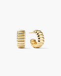 Gold hoop earrings on a white background